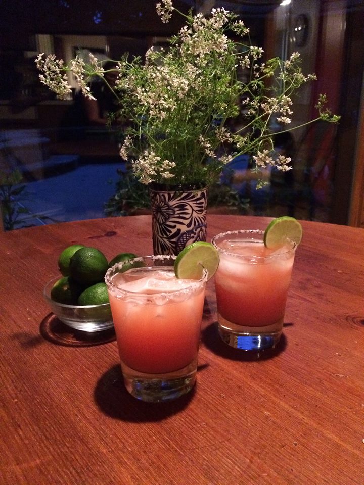 Paloma